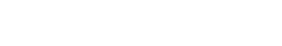 bitsCrunch Logo